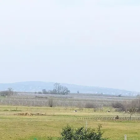 Appartamento Au Piémont Des Vosges *