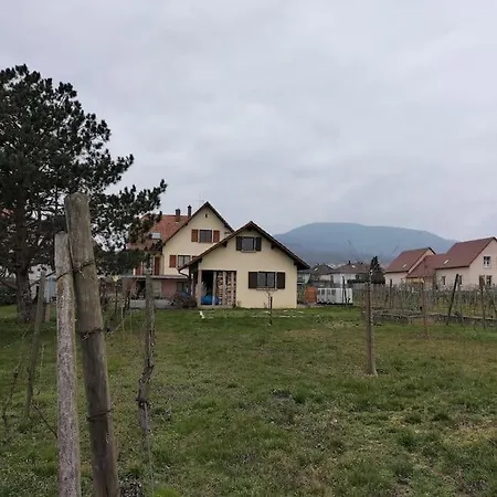 Au Piemont Des Vosges *