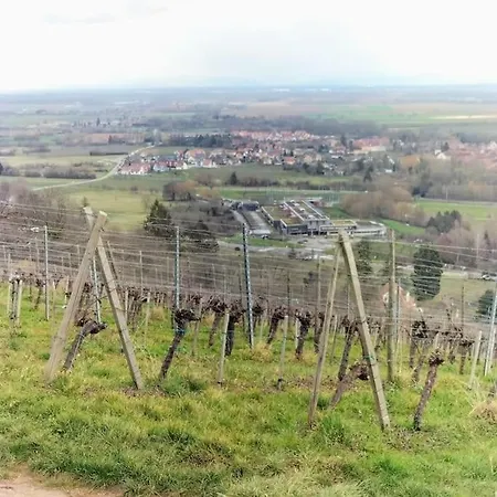 Au Piemont Des Vosges * Gertwiller