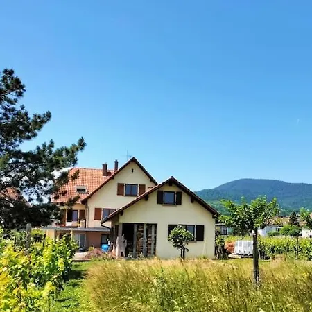 Au Piemont Des Vosges Apartment Gertwiller