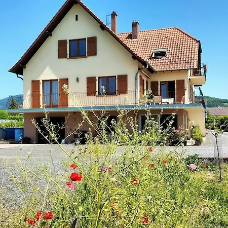 Au Piémont Des Vosges * Gertwiller